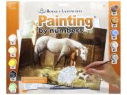 Painting By Numbers "New Friends"