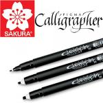 Sakura Pigma Calligrapher