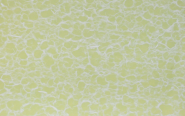 Πράσινο μεταξόχαρτο με ίνες λευκές 70 χ 100 cm