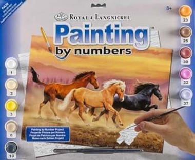 Painting By Numbers "Running Free" 