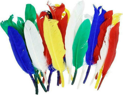 EFCO Φτερά ινδιάνικα χρωματιστά 12-15cm σετ 20 τεμ 